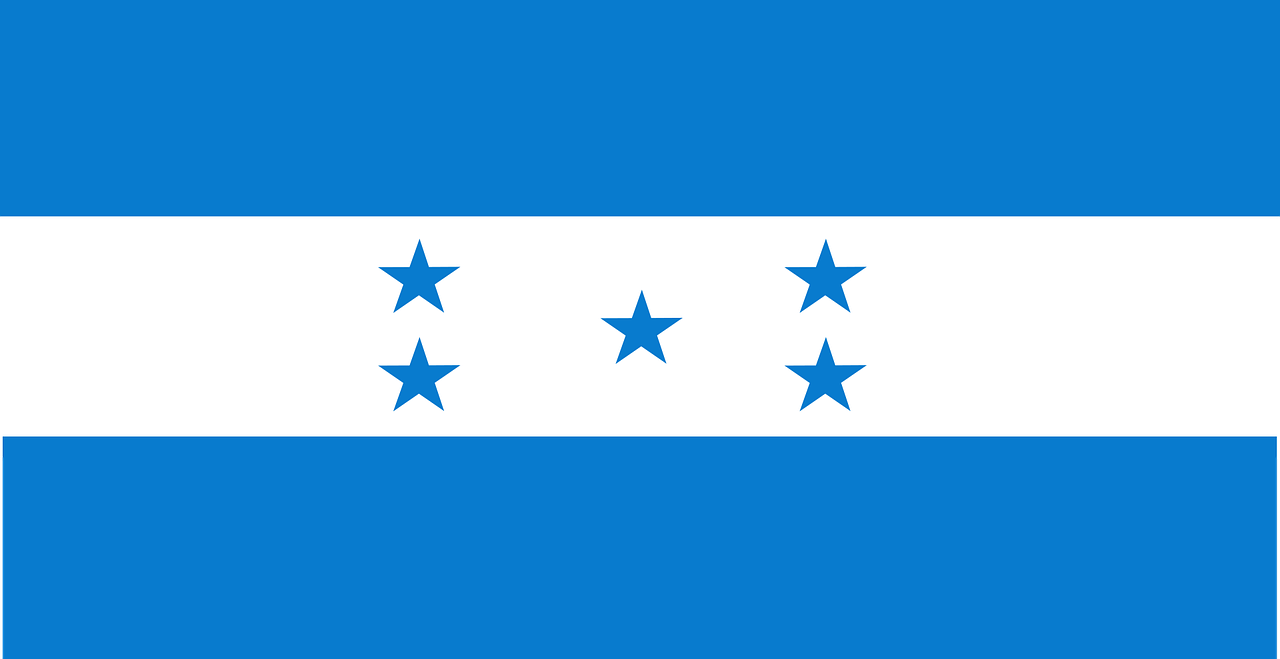 Nasry Asfura takes early lead in Honduras presidential vote